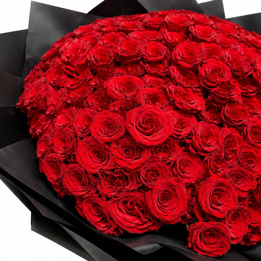 500 red roses luxury close-detail photo