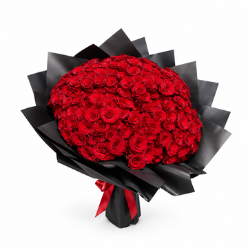 500 red roses premium product hero with white space