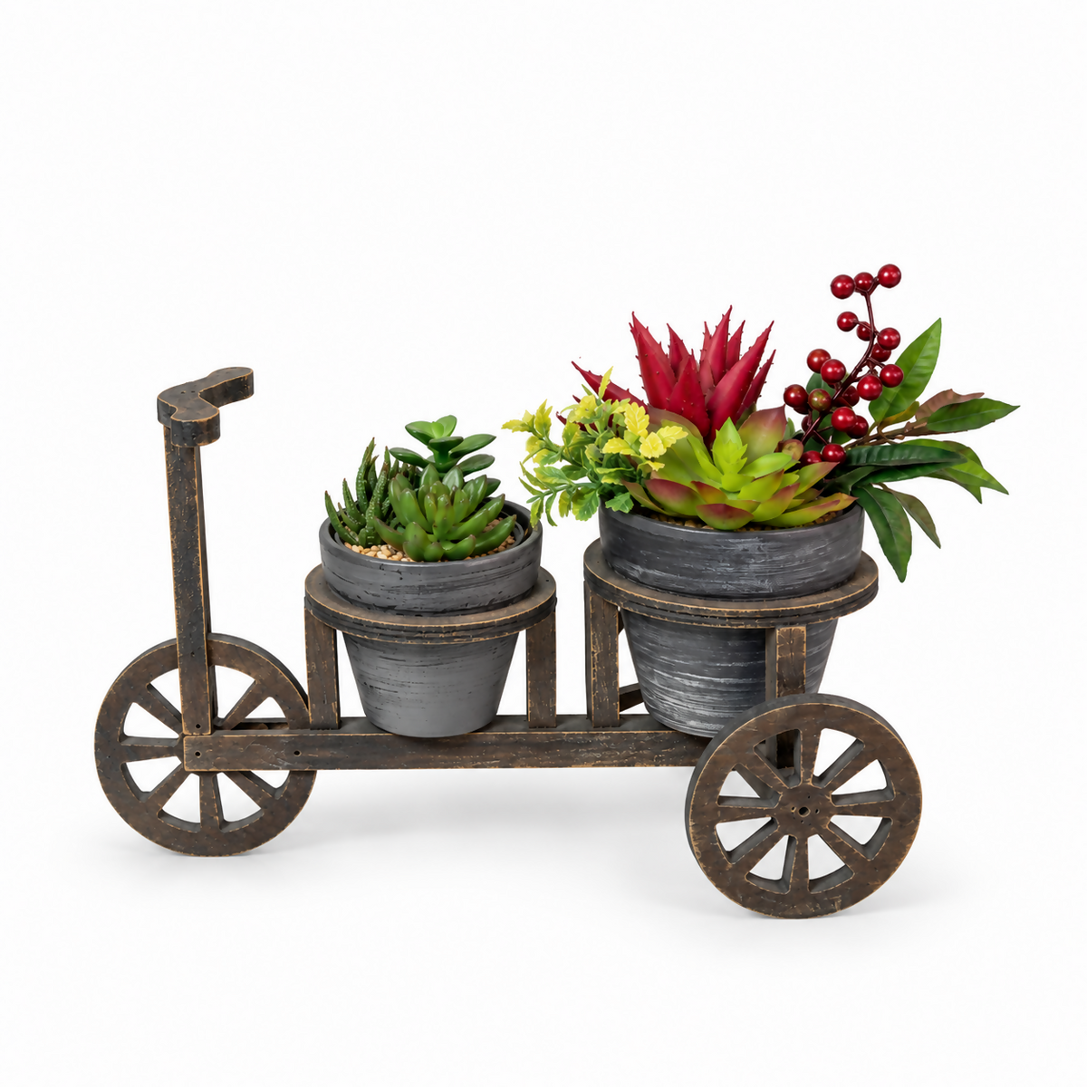 Rustic Bicycle Double Succulent Planter